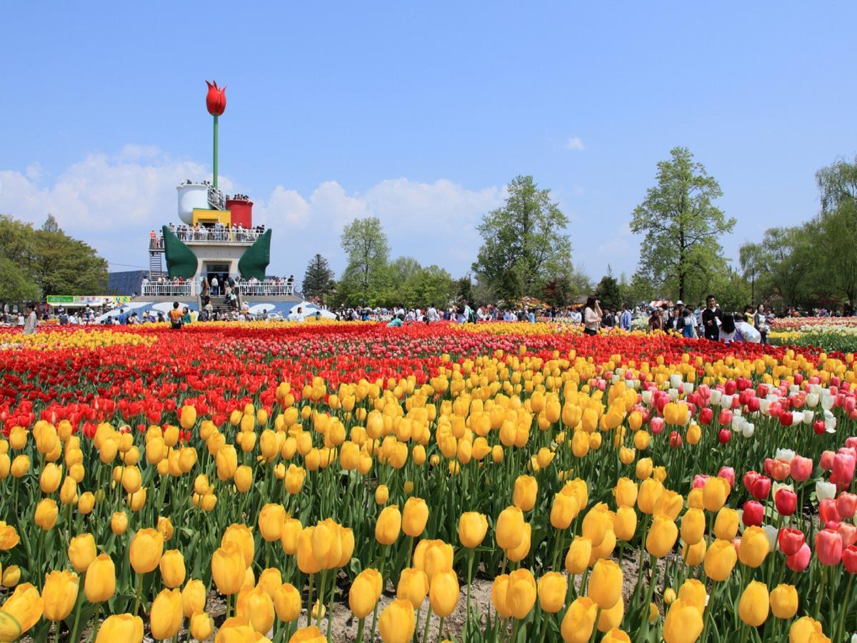 โรงแรมอะป้า ทากาโอะกะ-มารุโนะอุจิ ทากาโอกะ ภายนอก รูปภาพ